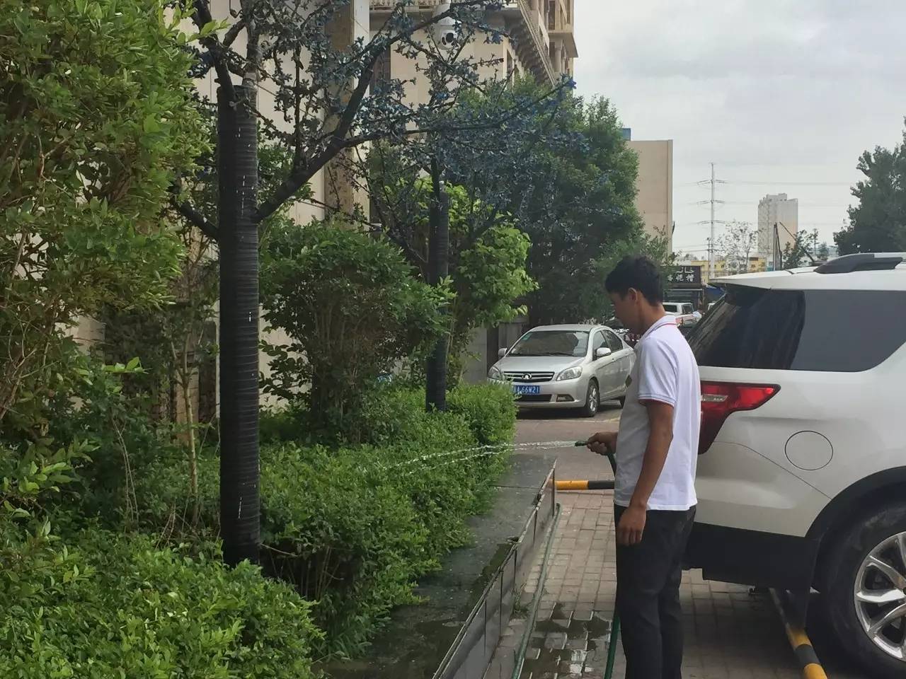 艾乃斯·吐送分配至保洁部在工作中